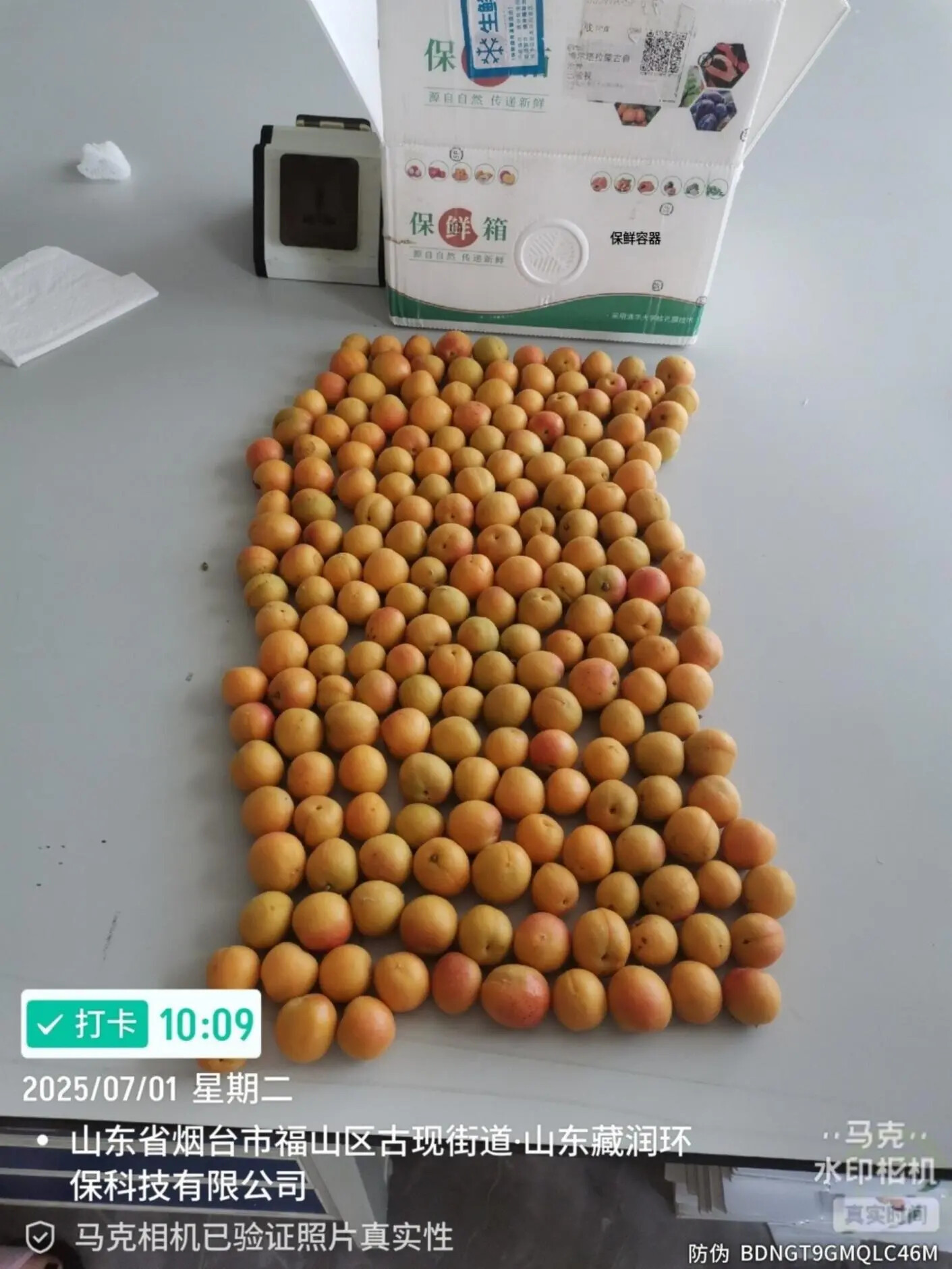 1753758754718432.jpg