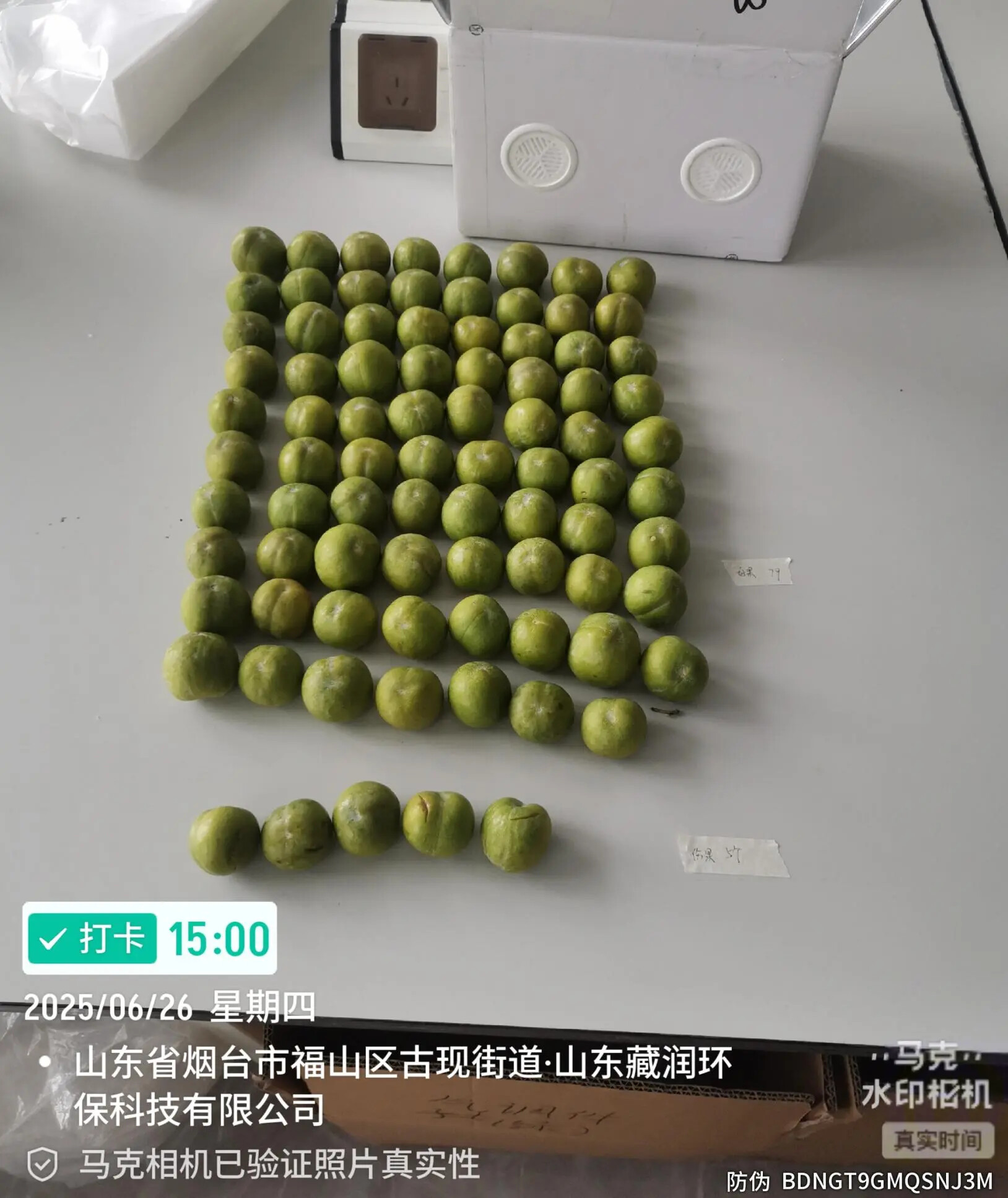 1753757535314386.jpg