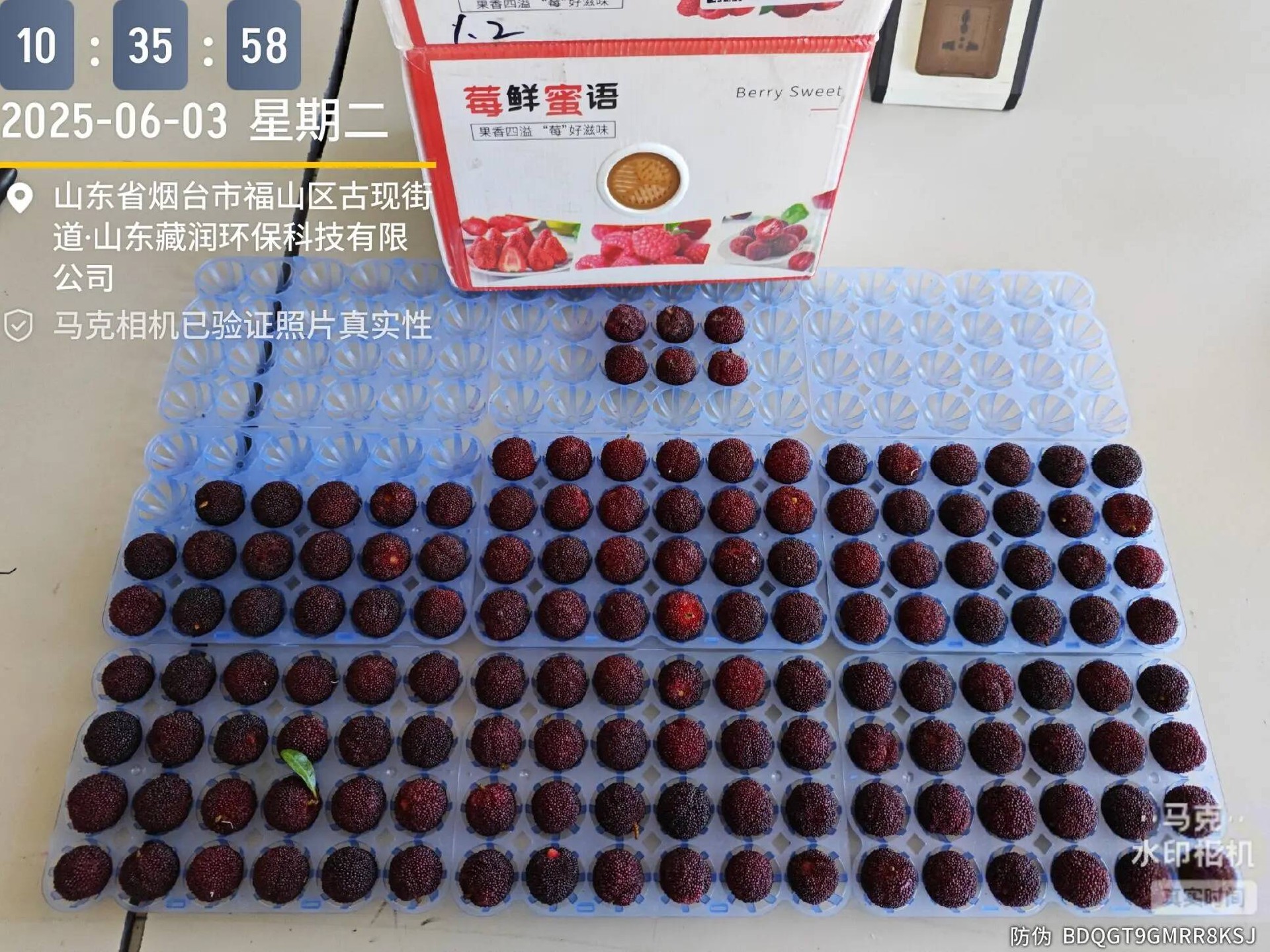 1753756964106190.jpg
