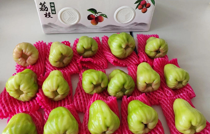 Wax Apple Experiment-42-hour Unpacking Effect
