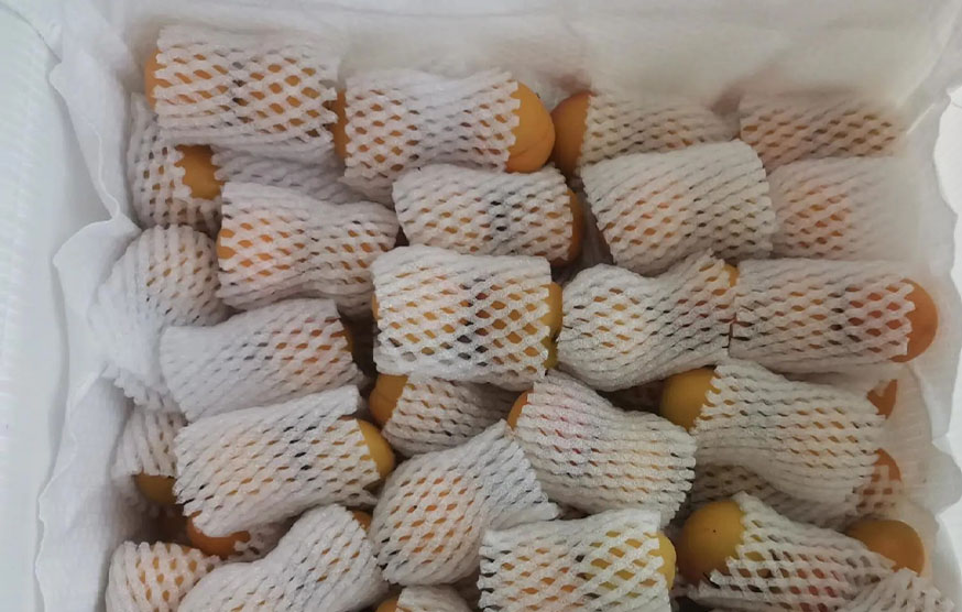 Xinjiang Diaozi Apricot-65 Hours Unpacking Effect