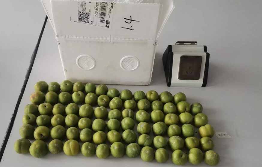 Wushan Crisp Plums - 72 Hours Of Unboxing