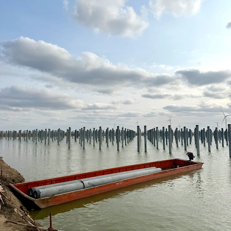 Phase II of the 300MW Solar-Fishery Complementary Power Generation Project at Guanxi Saltworks, Zhongdian