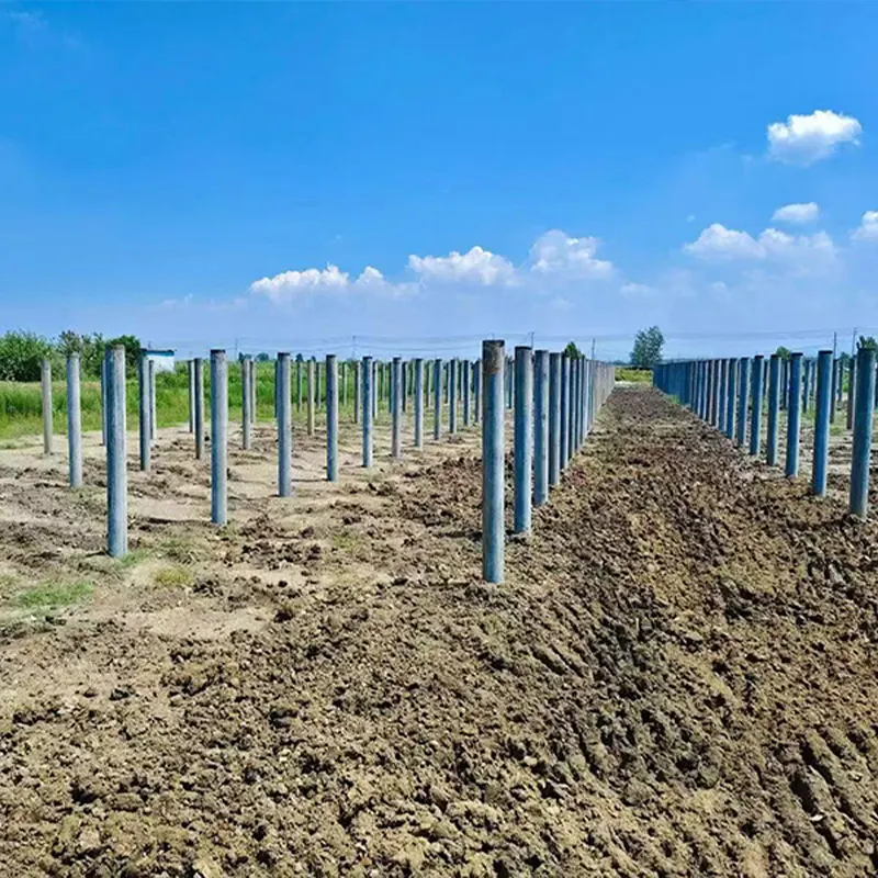 EPC General Contracting Project for the 200MW Solar-Fishery Complementary Photovoltaic Power Generation Project in Dongwang, Ganyu District, Lianyungang City, Jiangsu Province