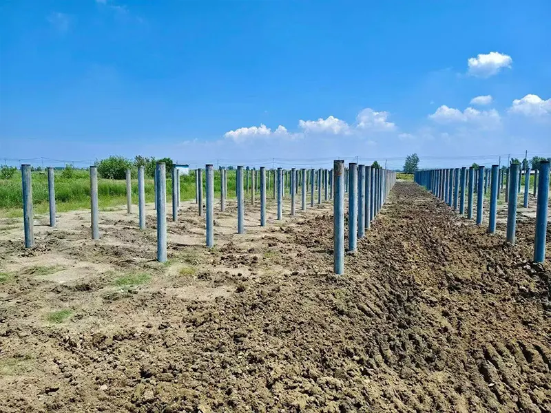 EPC General Contracting Project for the 200MW Solar-Fishery Complementary Photovoltaic Power Generation Project in Dongwang, Ganyu District, Lianyungang City, Jiangsu Province