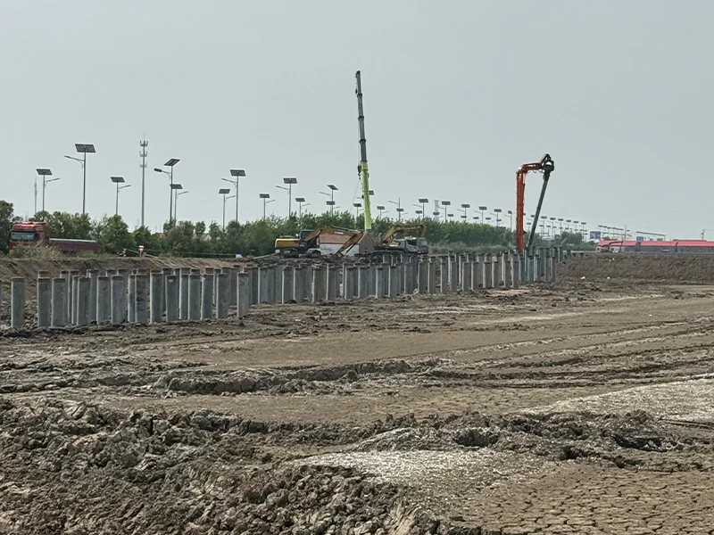 Lianyungang Qingkou Salt Field Fishery-PV Integrated Power Generation Project