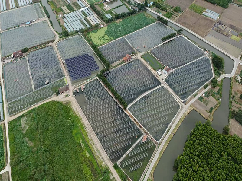 SPIC Jiangyin Huangtu‑Ligang Fishery‑Solar Complementary PV Power Generation Project (Section I)