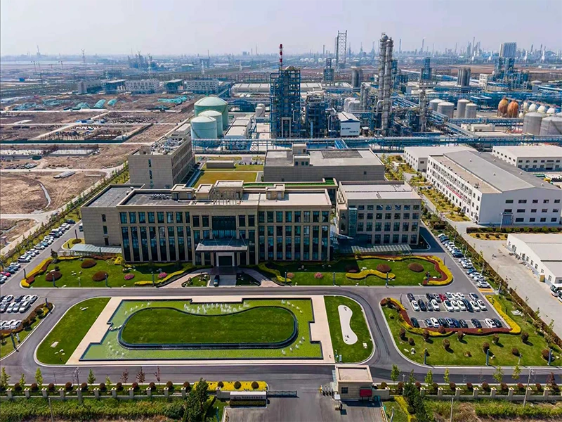 Lianyungang Petrochemical Co., Ltd. α‑Olefin Comprehensive Utilization High‑end New‑material Industrial Park Project