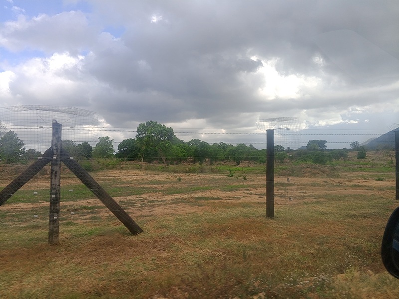 Overseas stockpiled pipe piles