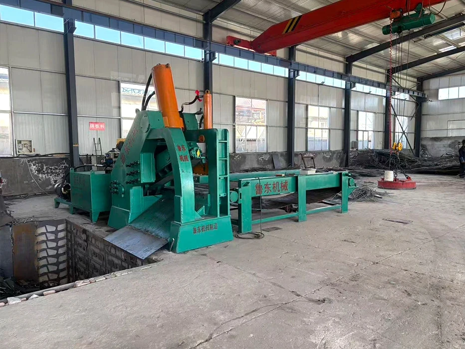 Alligator Shear with Chain Plate Conveyor, Workshop Site