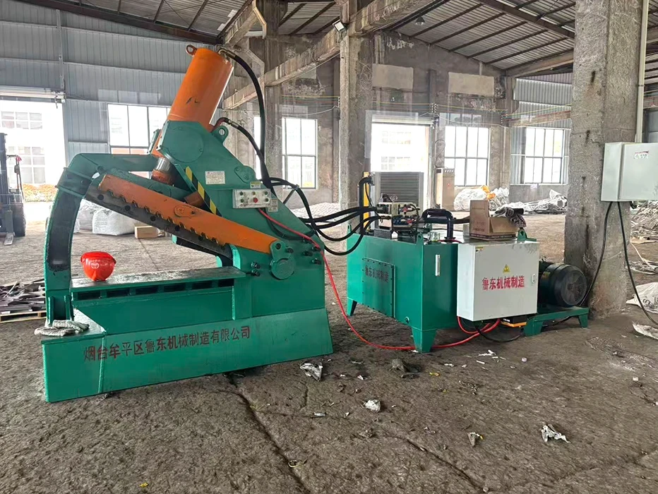 Alligator Shear Complete Machine and Electric Control System, Workshop Shot
