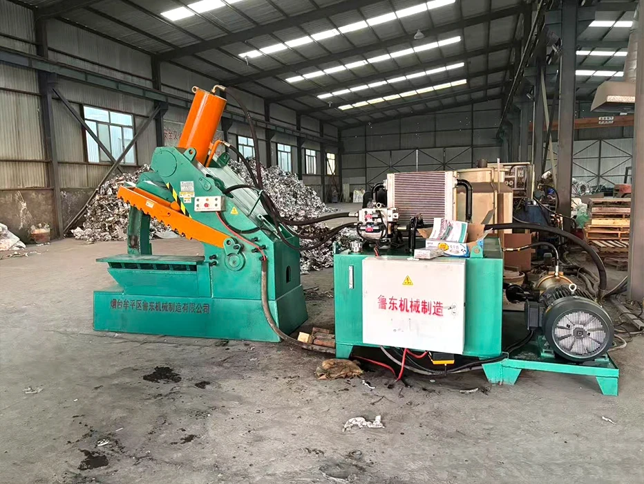 Front View Real Shot of Hydraulic Alligator Shear in Workshop