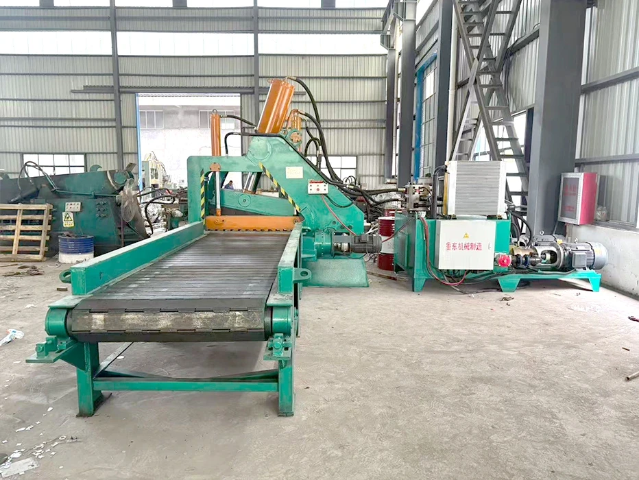 Feeding Conveyor and Shear Main Unit