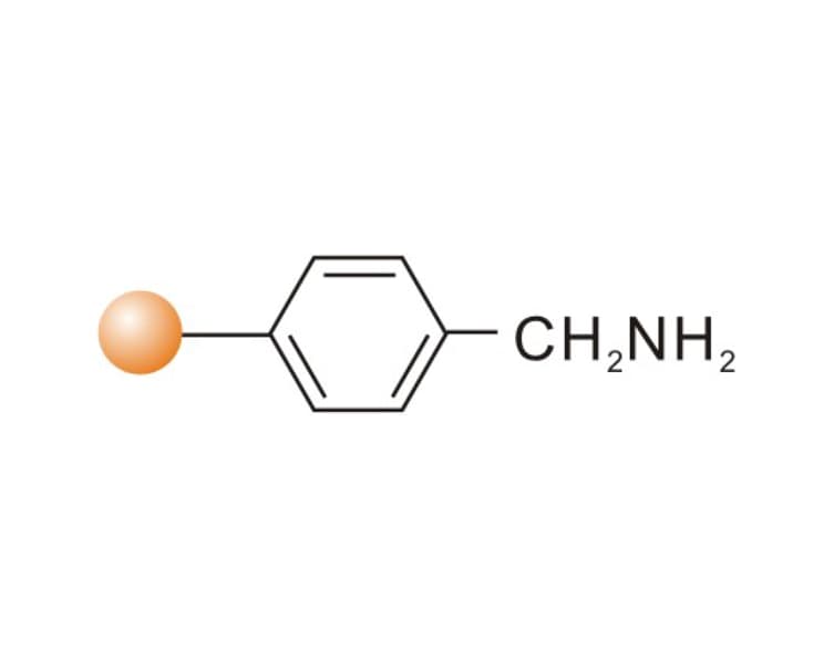 Aminomethyl Resin