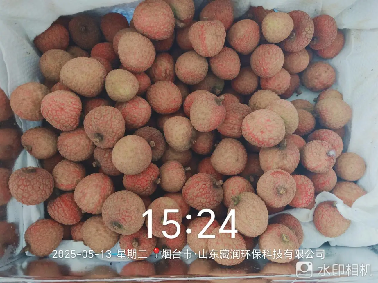 1753755225174986.webp