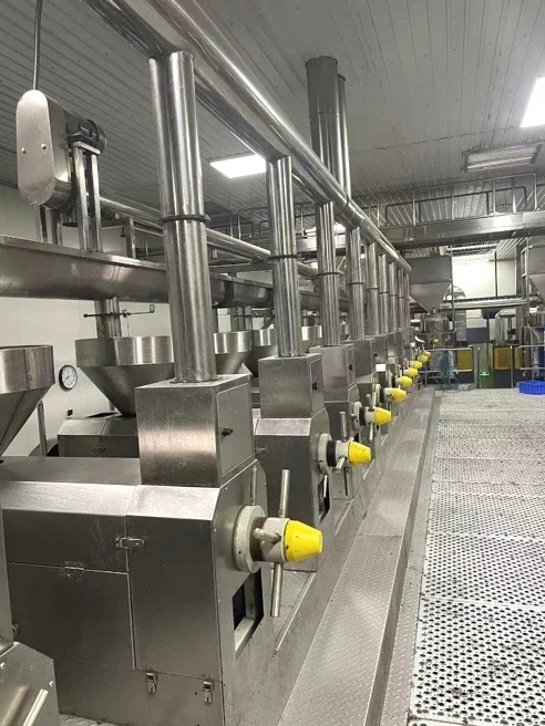 The oil press lines designed, manufactured and installed by our company include platforms, guardrails, pipelines, and guard plates all made of stainless steel.